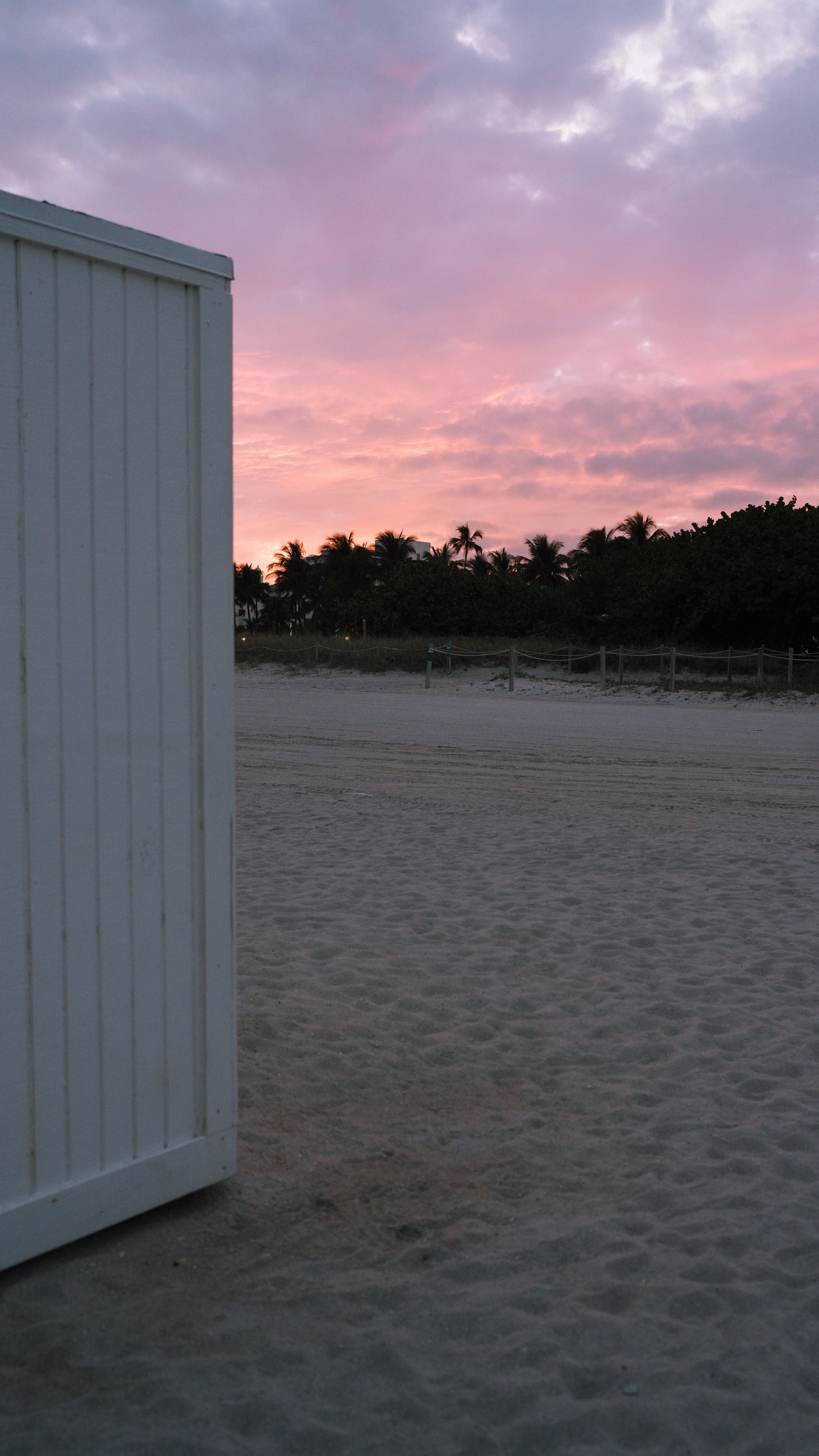 Scenic Beach Sunset with Palm Silhouettes · Free Stock Photo