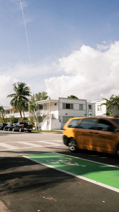 Free Yellow taxi speeds past palm-lined urban street, sunny day. Stock Photo