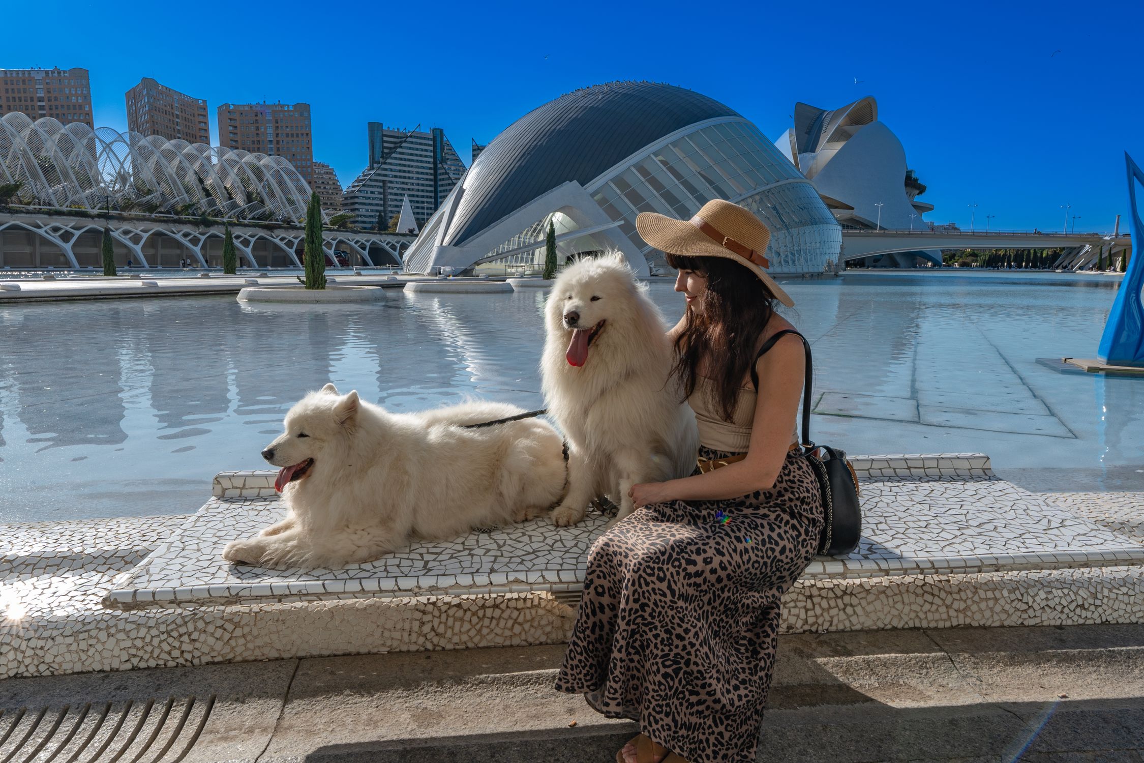 A woman sits with two Samoyed dogs by the City of Arts and Sciences in Valencia on a sunny day.