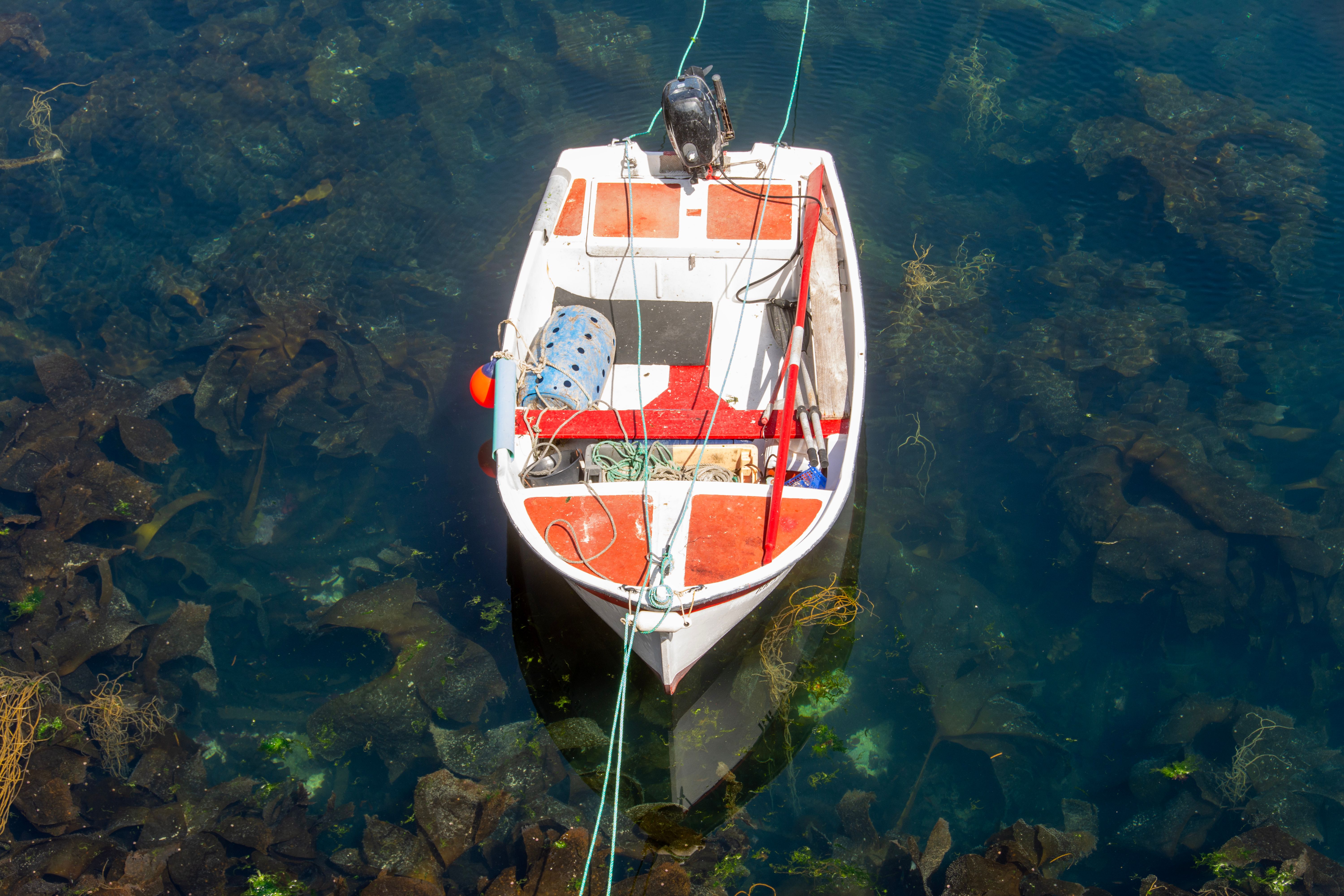 Aerial View of a Moored Boat on Clear Water · Free Stock Photo