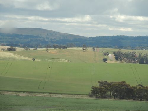 Free stock photo of field Stock Photo