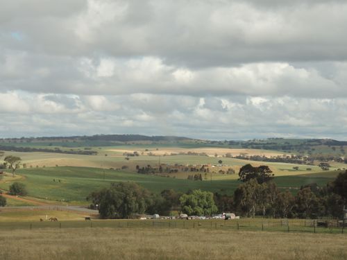 Free stock photo of field Stock Photo