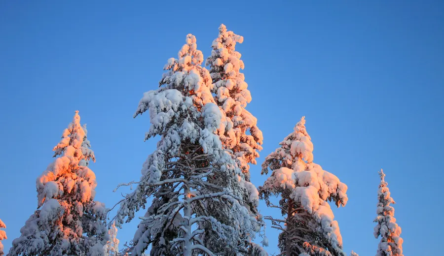 Jour 4 à Rovaniemi