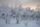 lapland