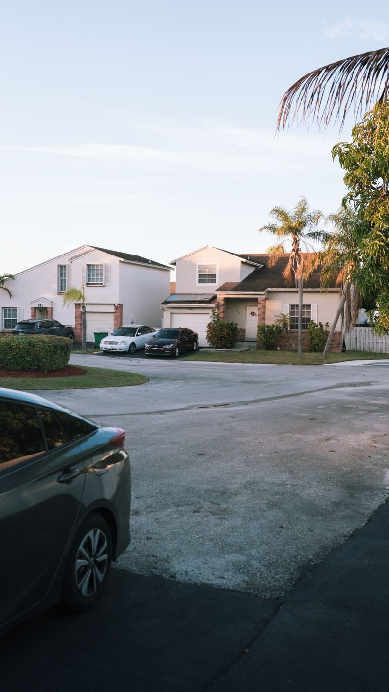 Palm-lined neighborhood