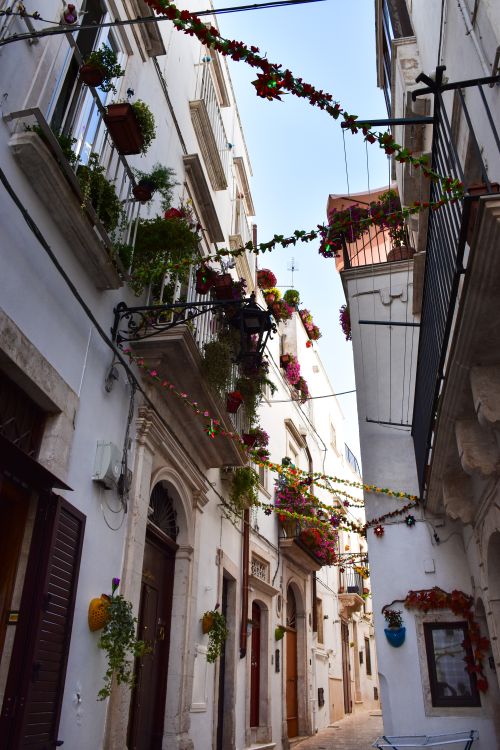 Colorful Italian Street with Floral Balconies · Free Stock Photo