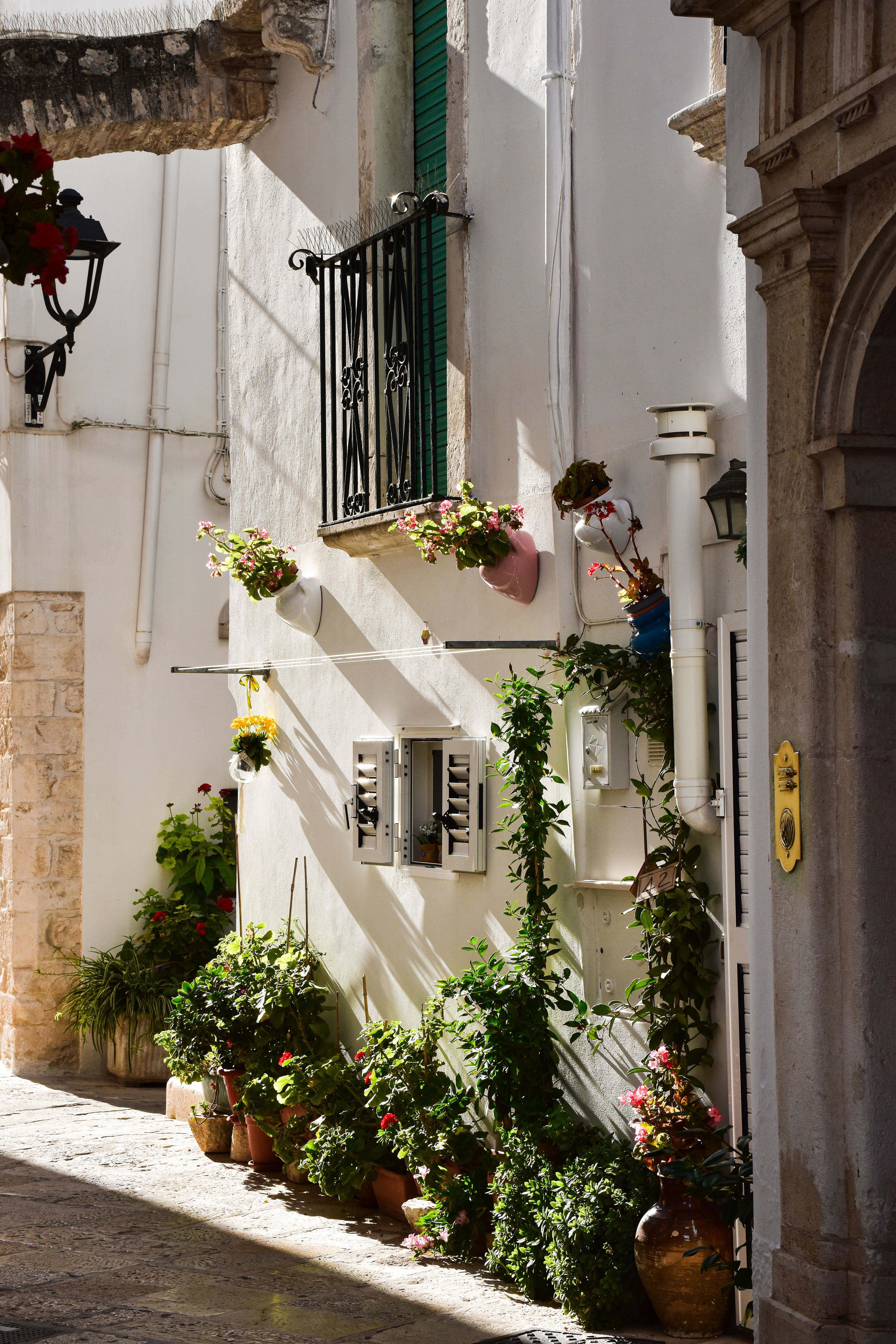 Charming Potted Plants in Apulia Street Scene  Free Stock Photo