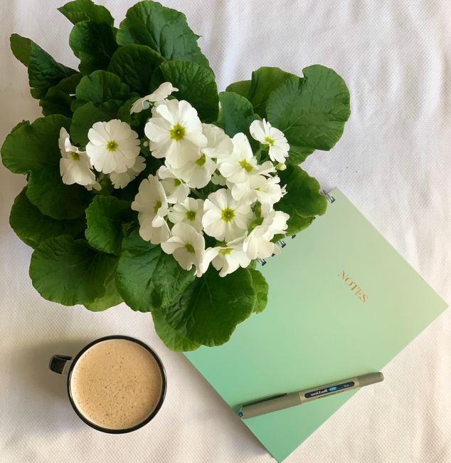 White flowers with green leaves beside a coffee mug and a notebook on a table.