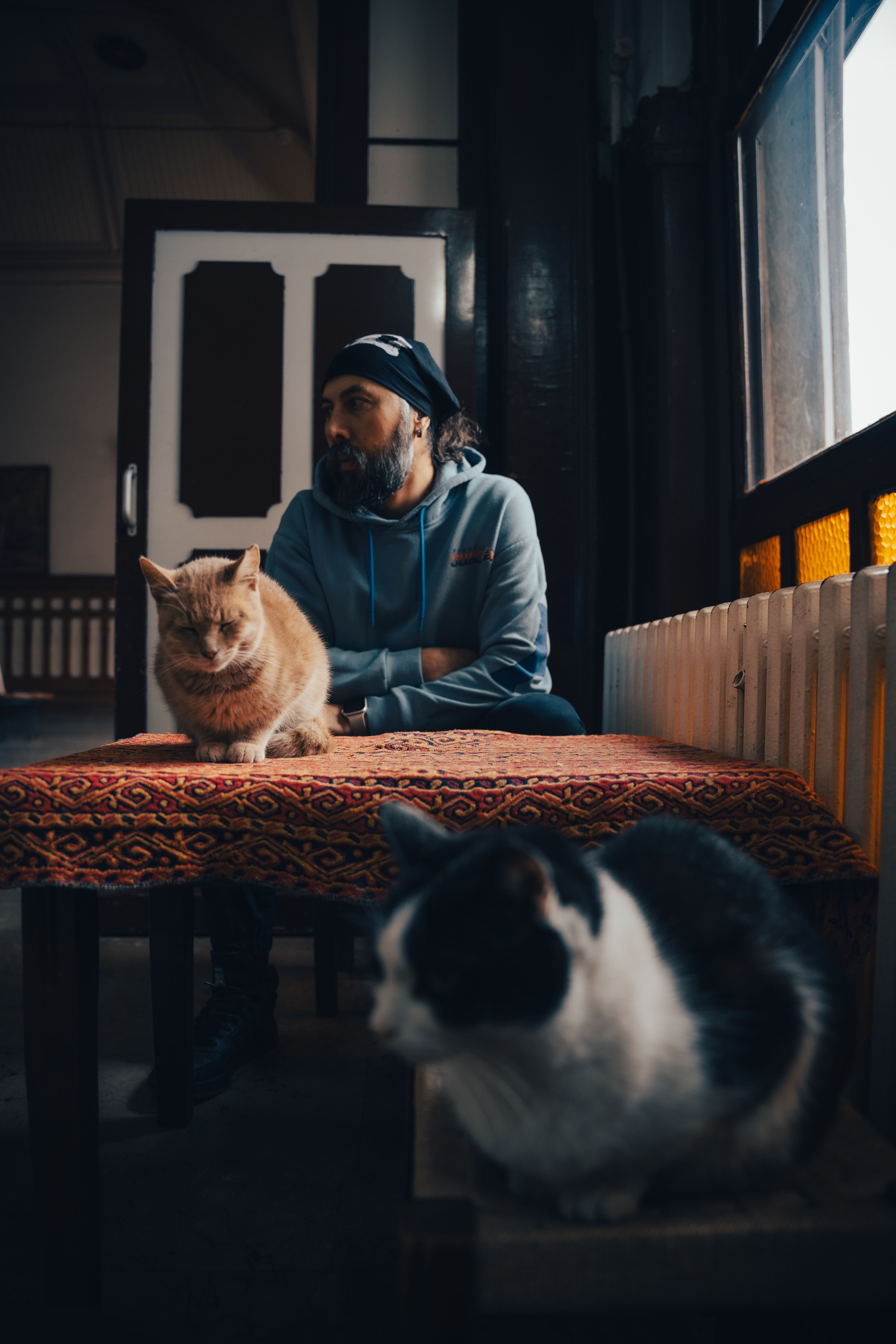 A man and two cats enjoying a peaceful moment indoors in Istanbul, Türkiye.
