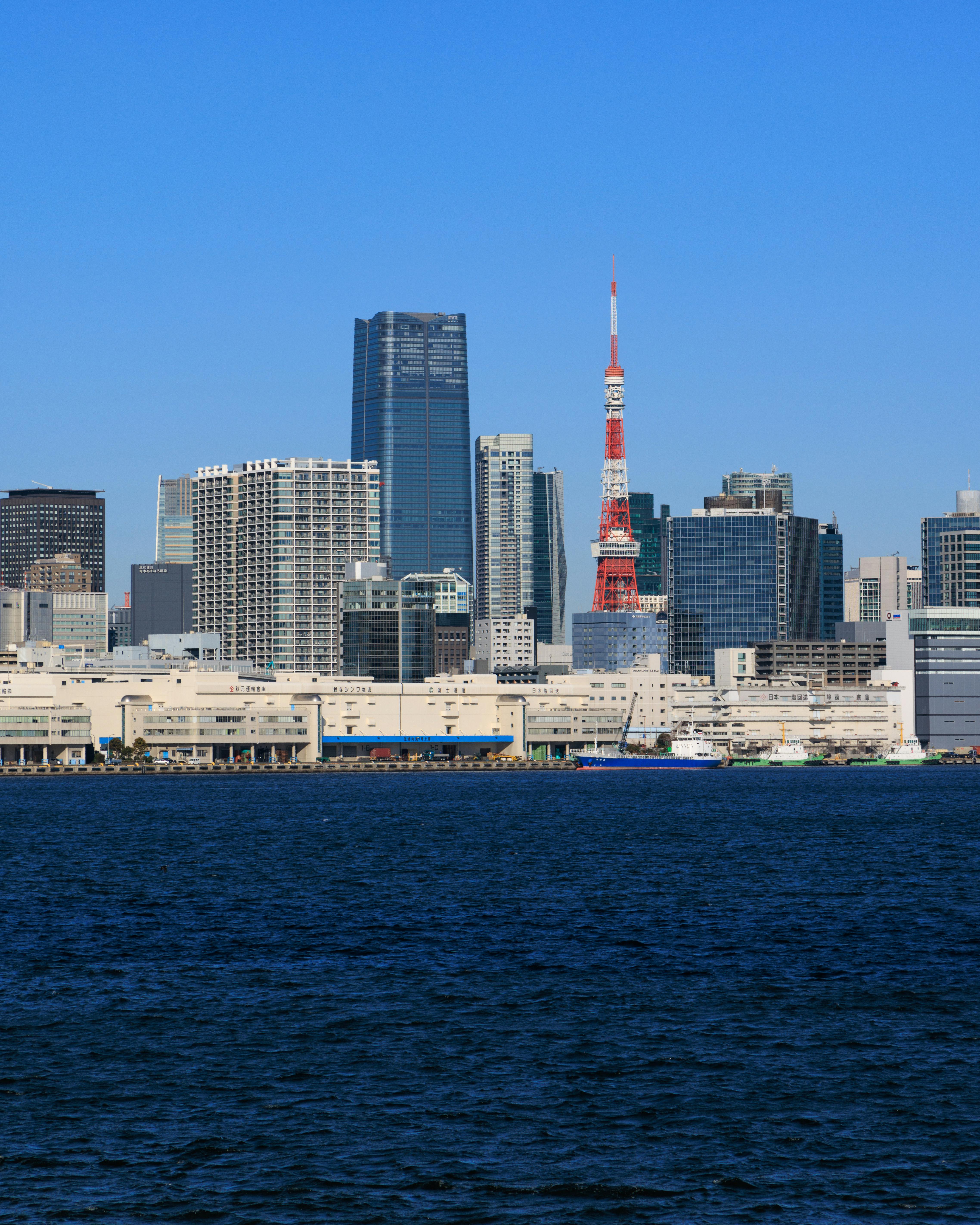 東京で海を楽しむ魅力とは