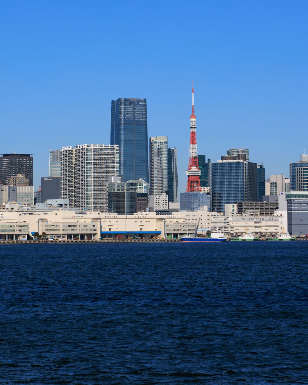 東京で海を楽しむ魅力とは