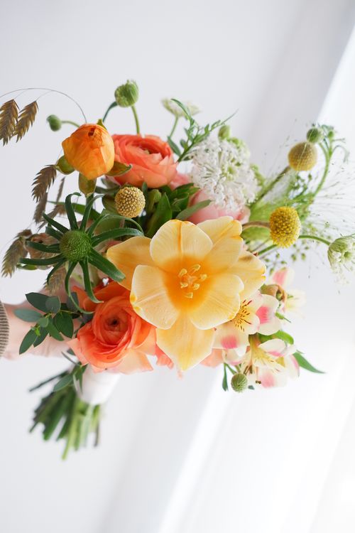 Free A vibrant bouquet featuring orange and yellow flowers against a white background, perfect for spring. Stock Photo