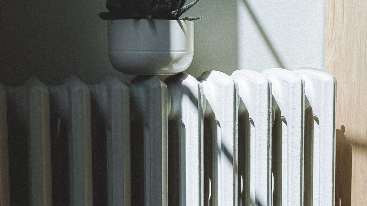 Viager et précarité énergétique : solutions pour seniors