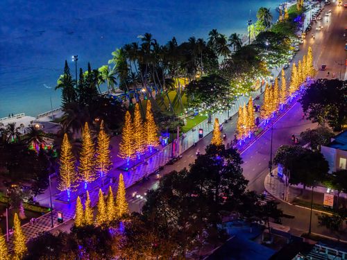 Free A vibrant city street adorned with illuminated trees and festive lights at night. Stock Photo