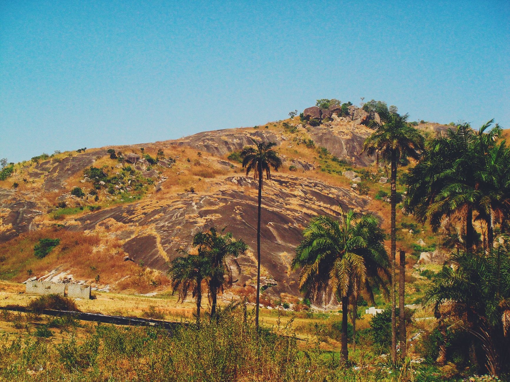 Captivating view of rocky hills and palm trees in Abuja, showcasing natural beauty and rugged terrain.
