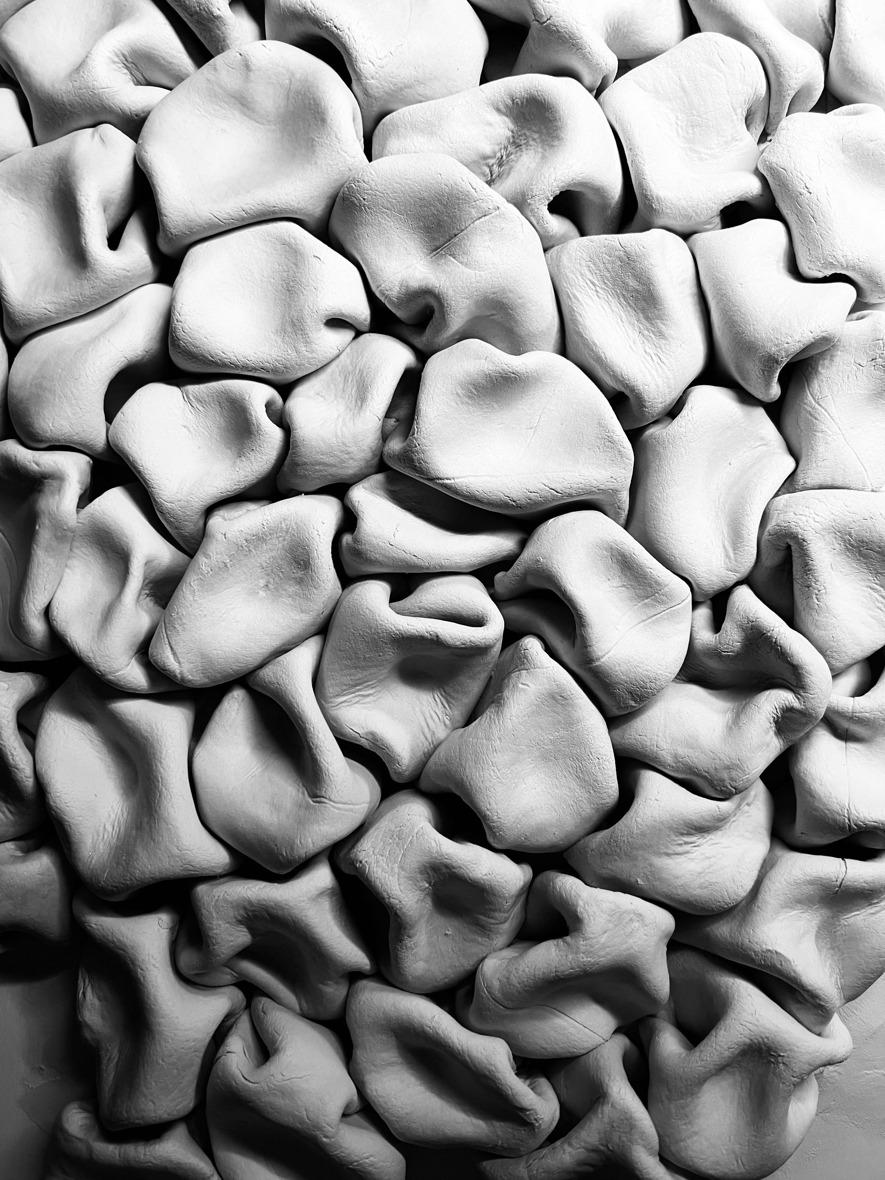 Abstract Art of Sculpted Clay Forms in Black and White · Free Stock Photo
