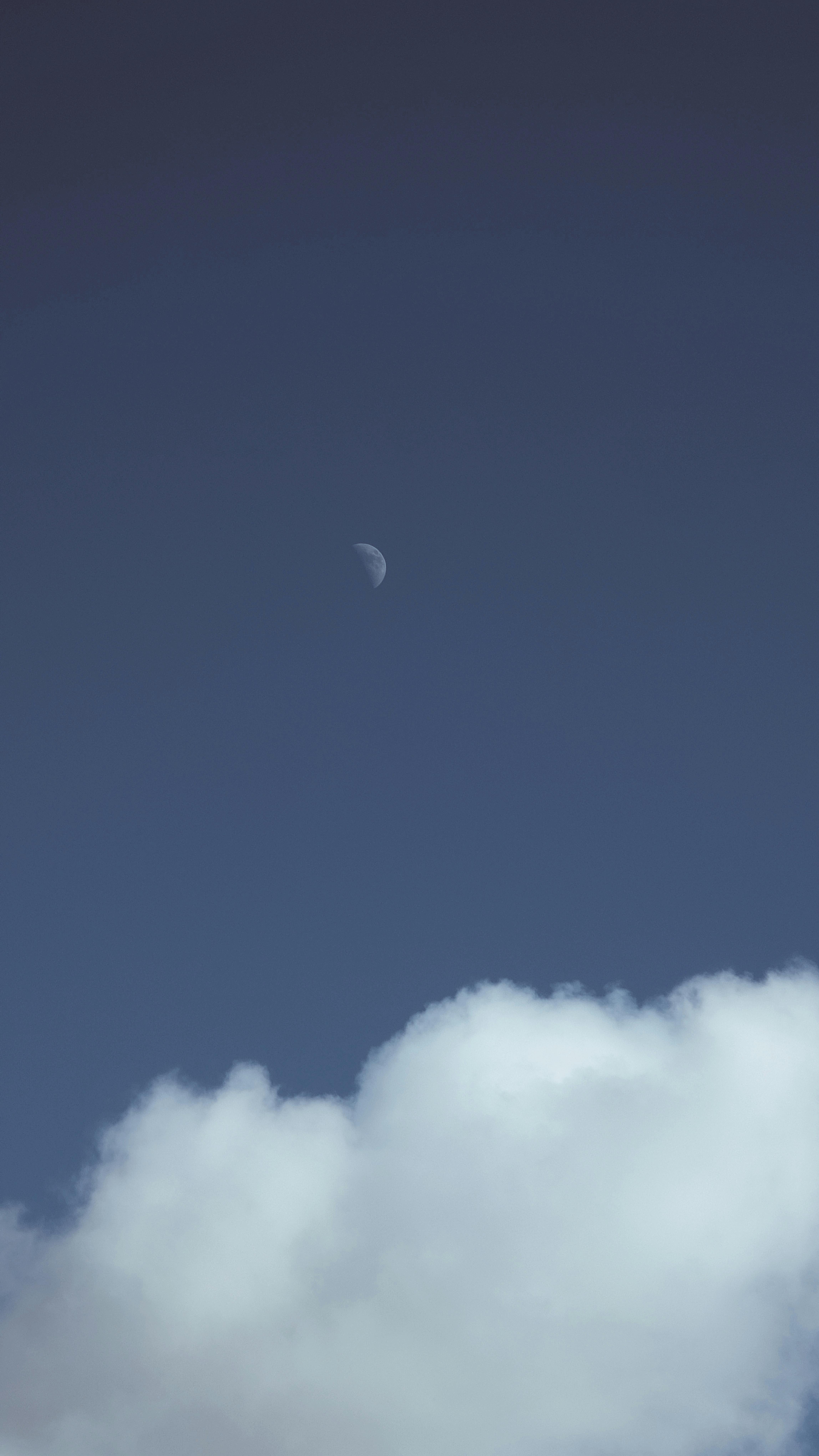 Why Do Dogs Have Wet Noses? Discover The Fascinating Reasons! 6 Can Weather Affect Your Dog’s Nose? Discover 4 Climate-Related Factors