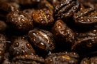 Wet coffee beans with water droplets — photo by Ignacio Vazquez on Pexels