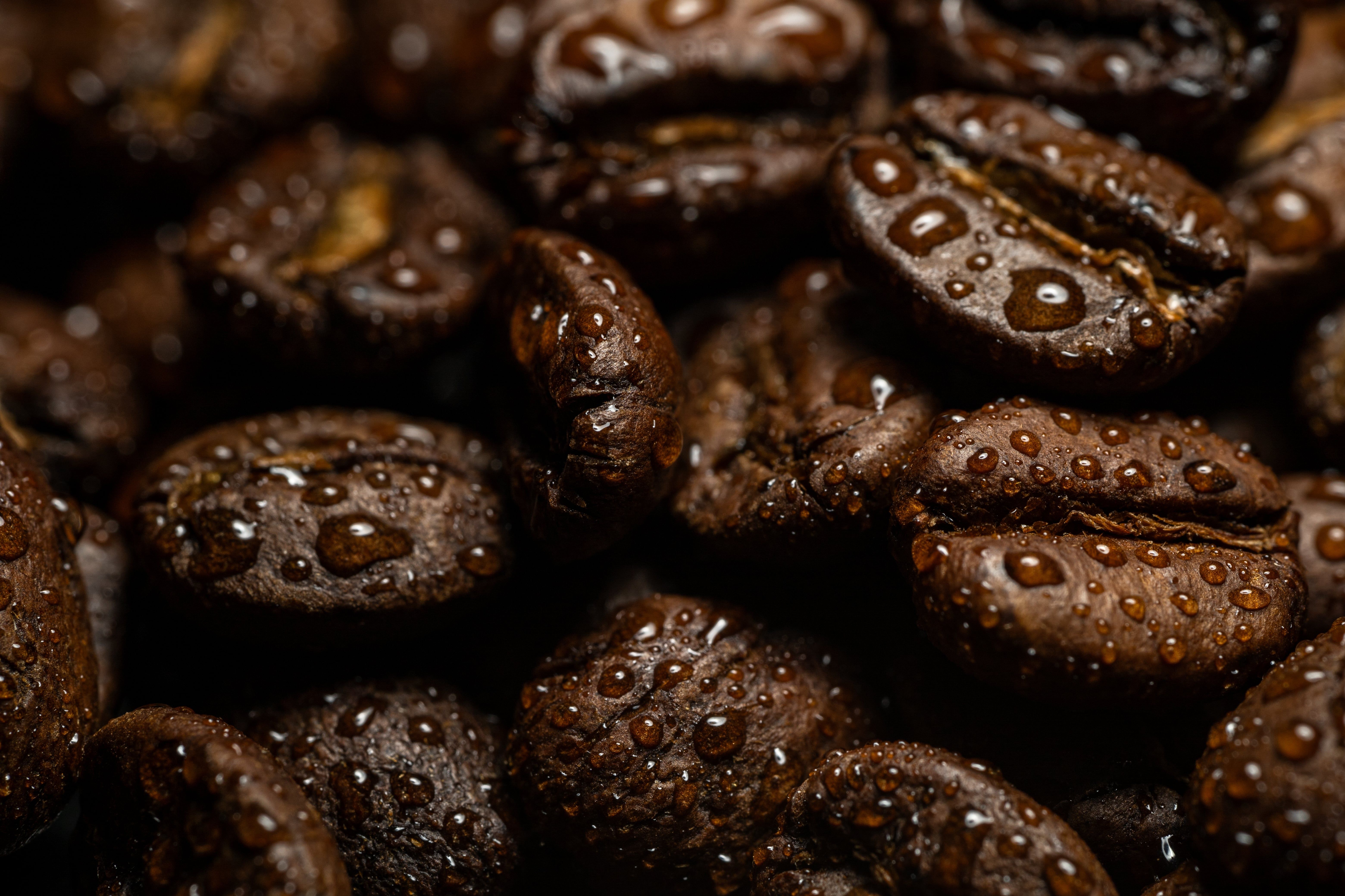 Macro Shot of Freshly Roasted Coffee Beans · Free Stock Photo
