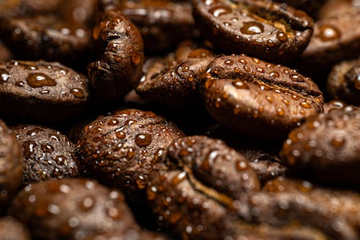 Macro shot of aromatic coffee beans covered with dewdrops, highlighting the rich texture and freshness.