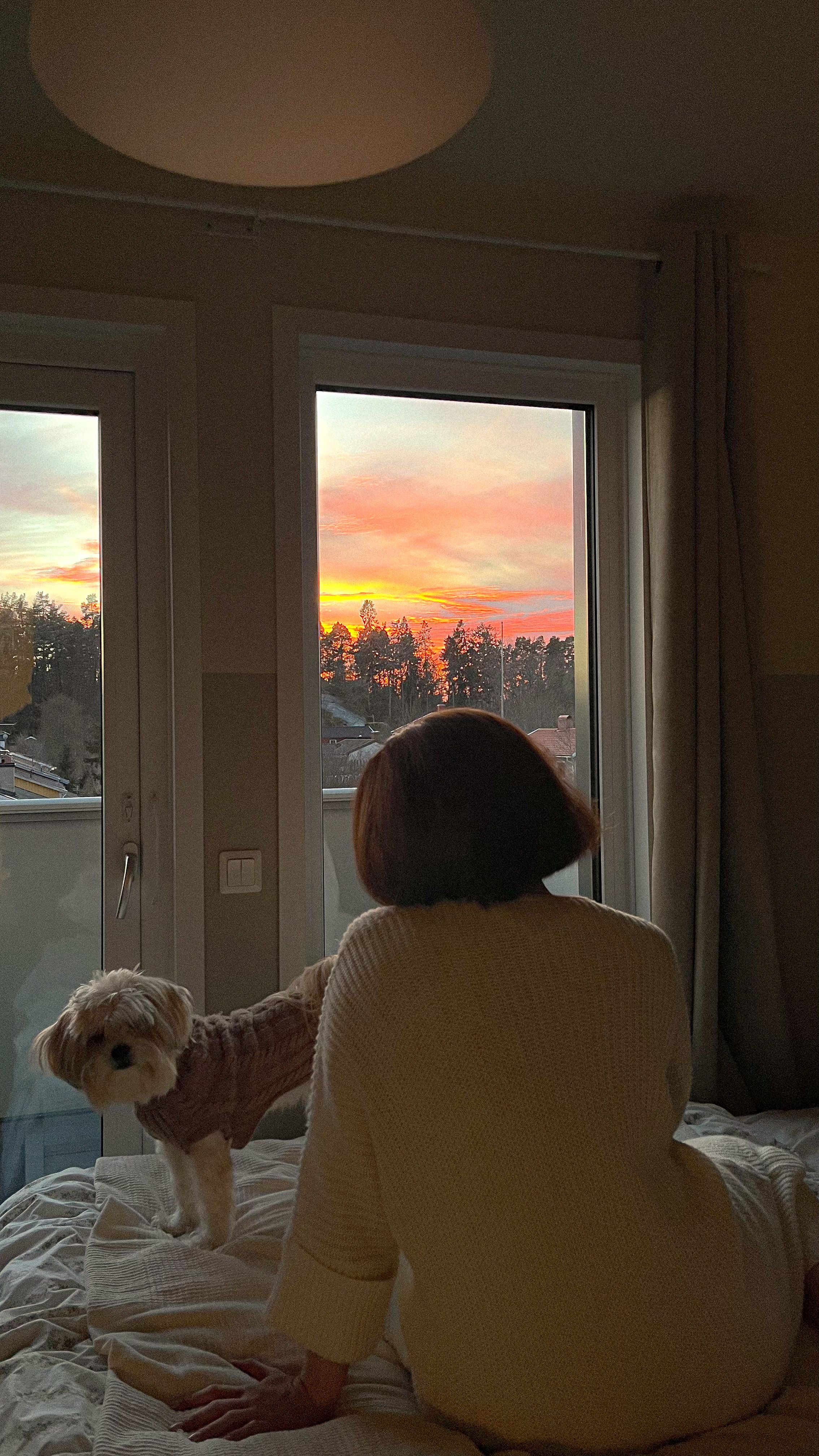 Woman and dog enjoy a serene sunset view from Stockholm apartment, capturing warmth and tranquility.