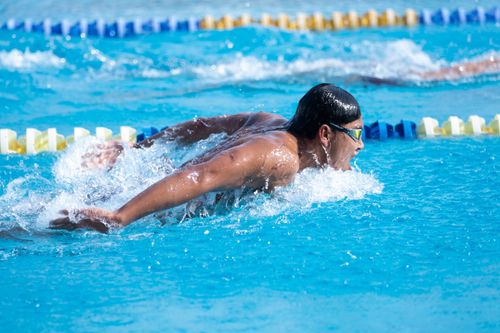Free Swimmer performing butterfly stroke in a swimming pool during a competition. Stock Photo