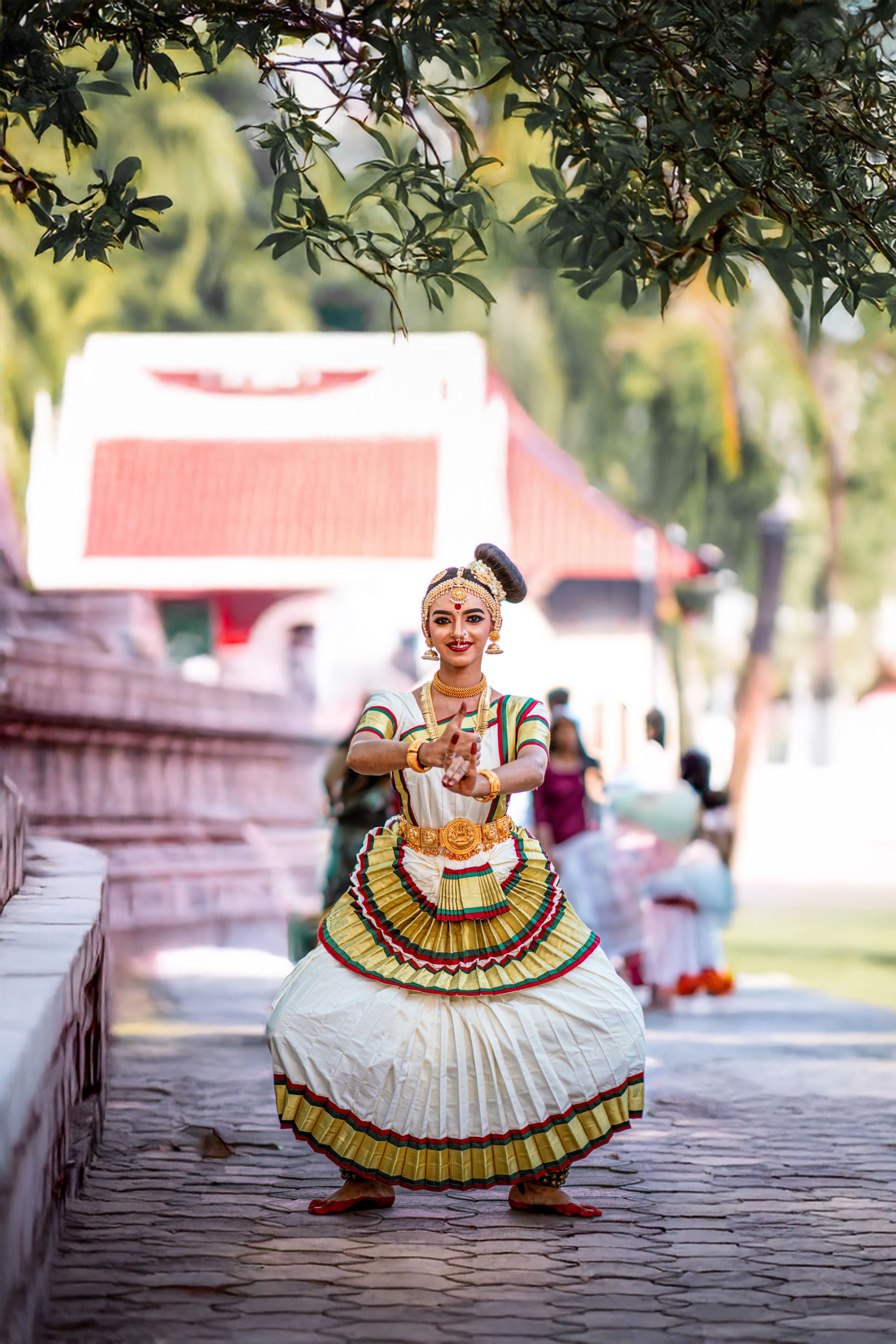 A traditional dancer performing a graceful classical dance