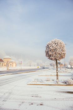 A peaceful snow-covered urban street with frosted trees on a serene winter morning.