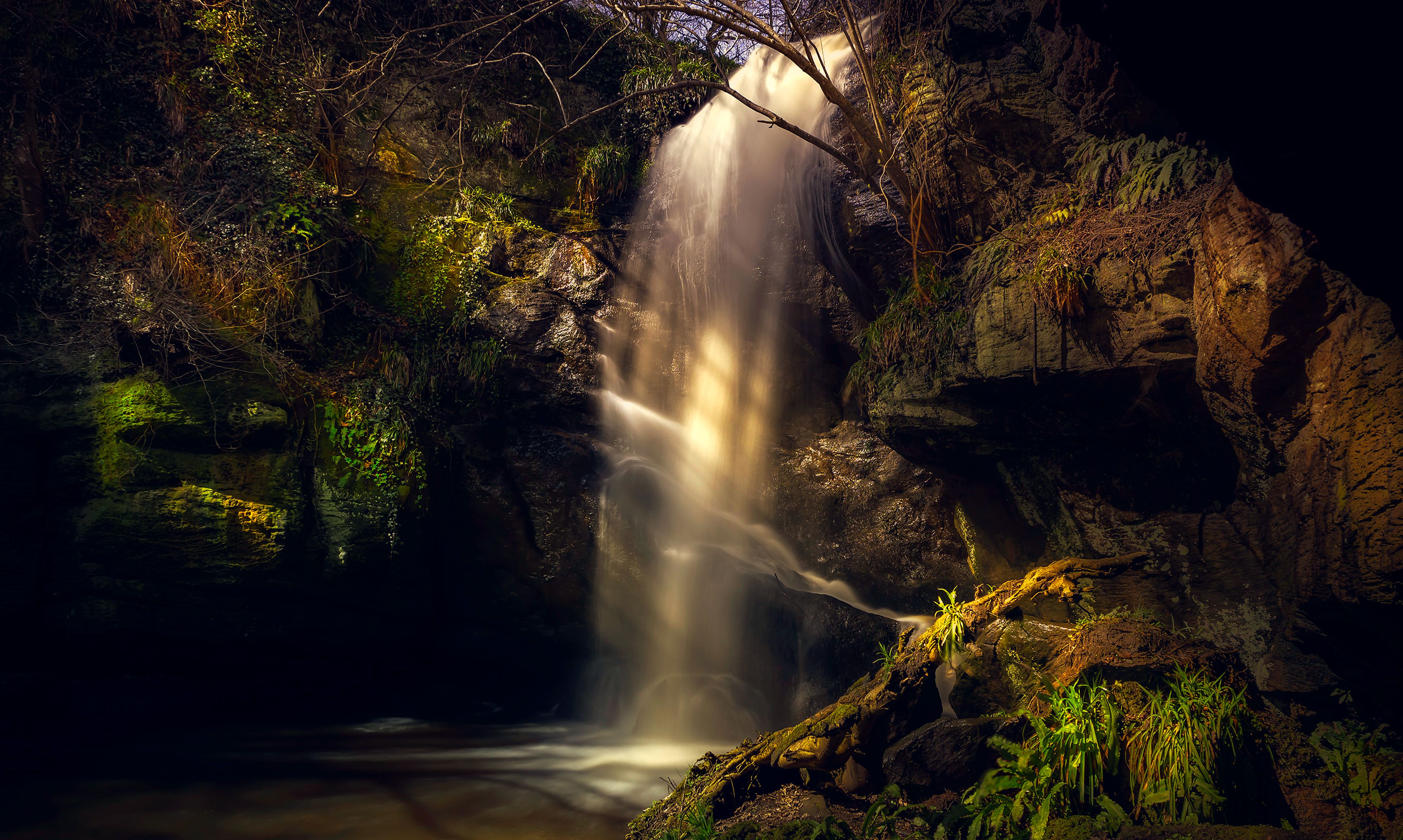 Enchanting Forest Waterfall at Twilight · Free Stock Photo