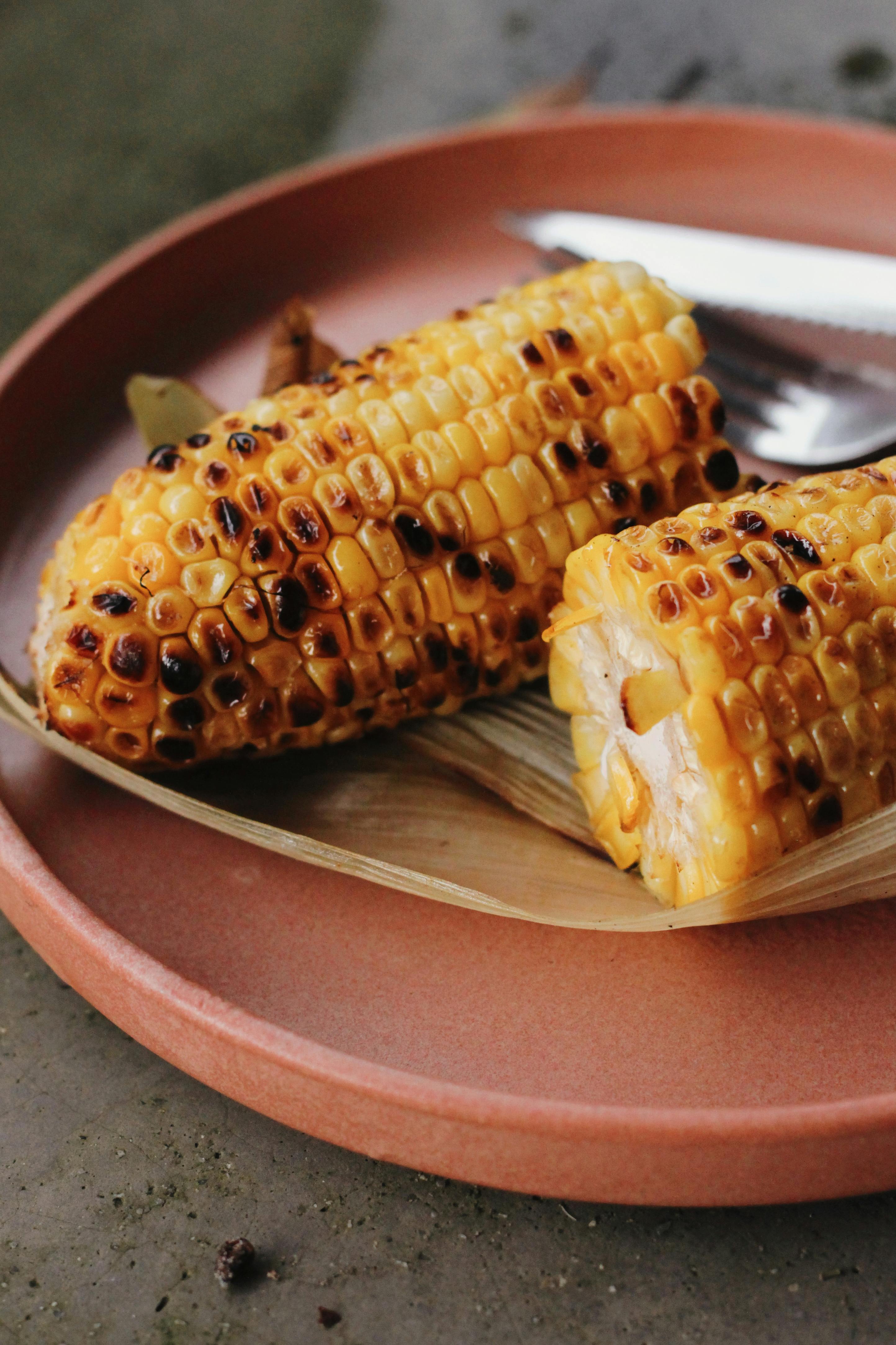 grilled corn on ceramic plate close up