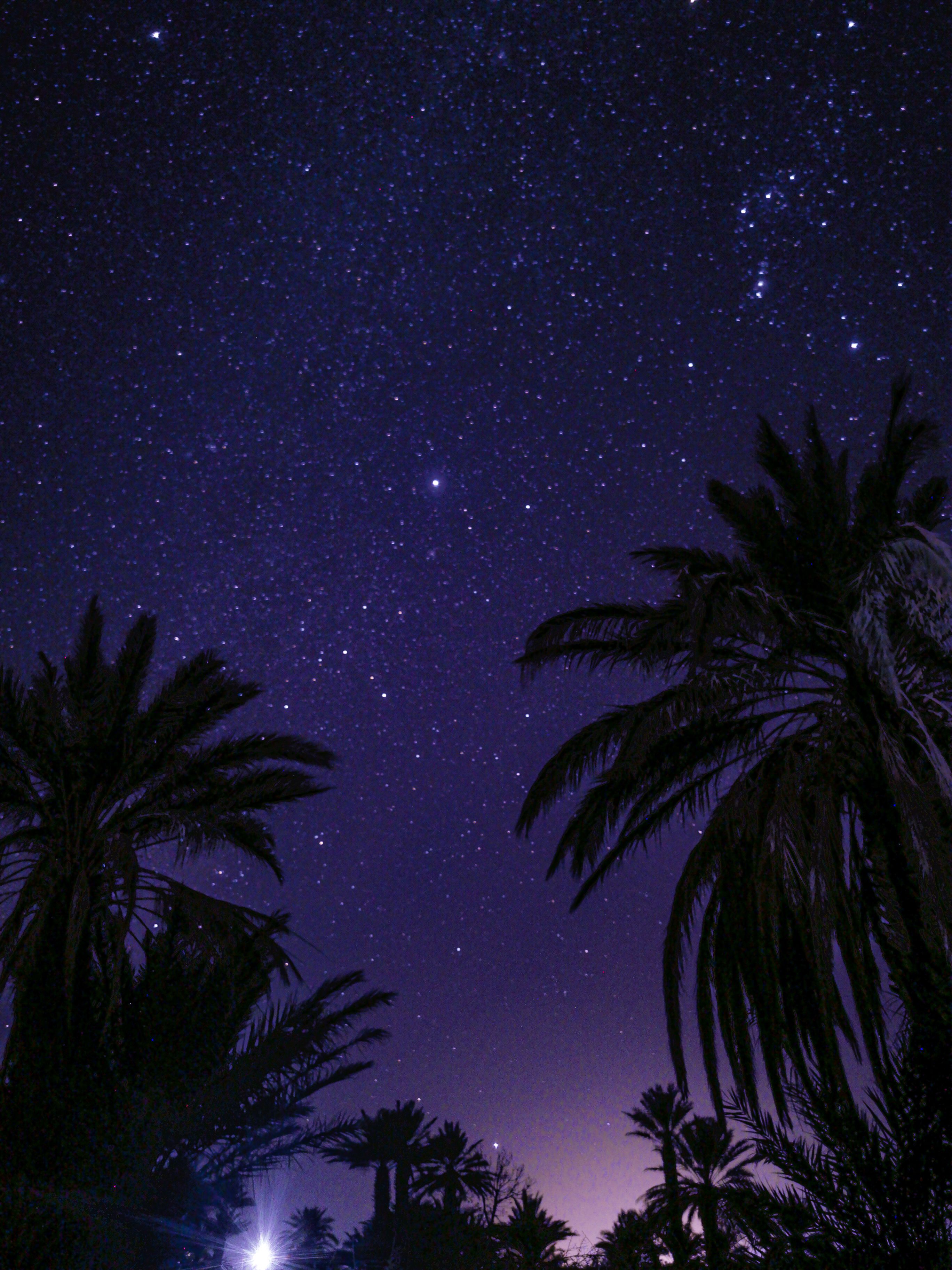 Stargazing in the Sahara 3