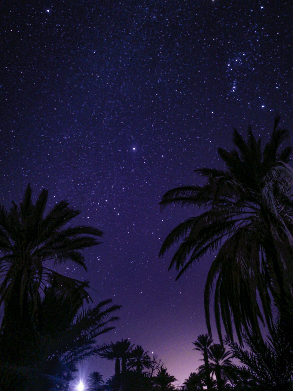 Stargazing in the Sahara 3