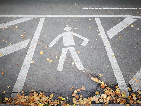 柏油路上飘落的秋叶包围了人行横道上的白色行人标志