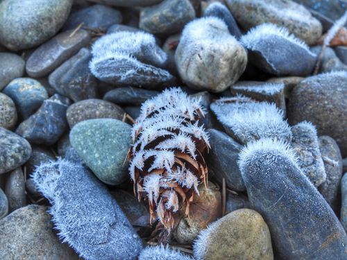 Free stock photo of beautiful winter, icy, winter Stock Photo