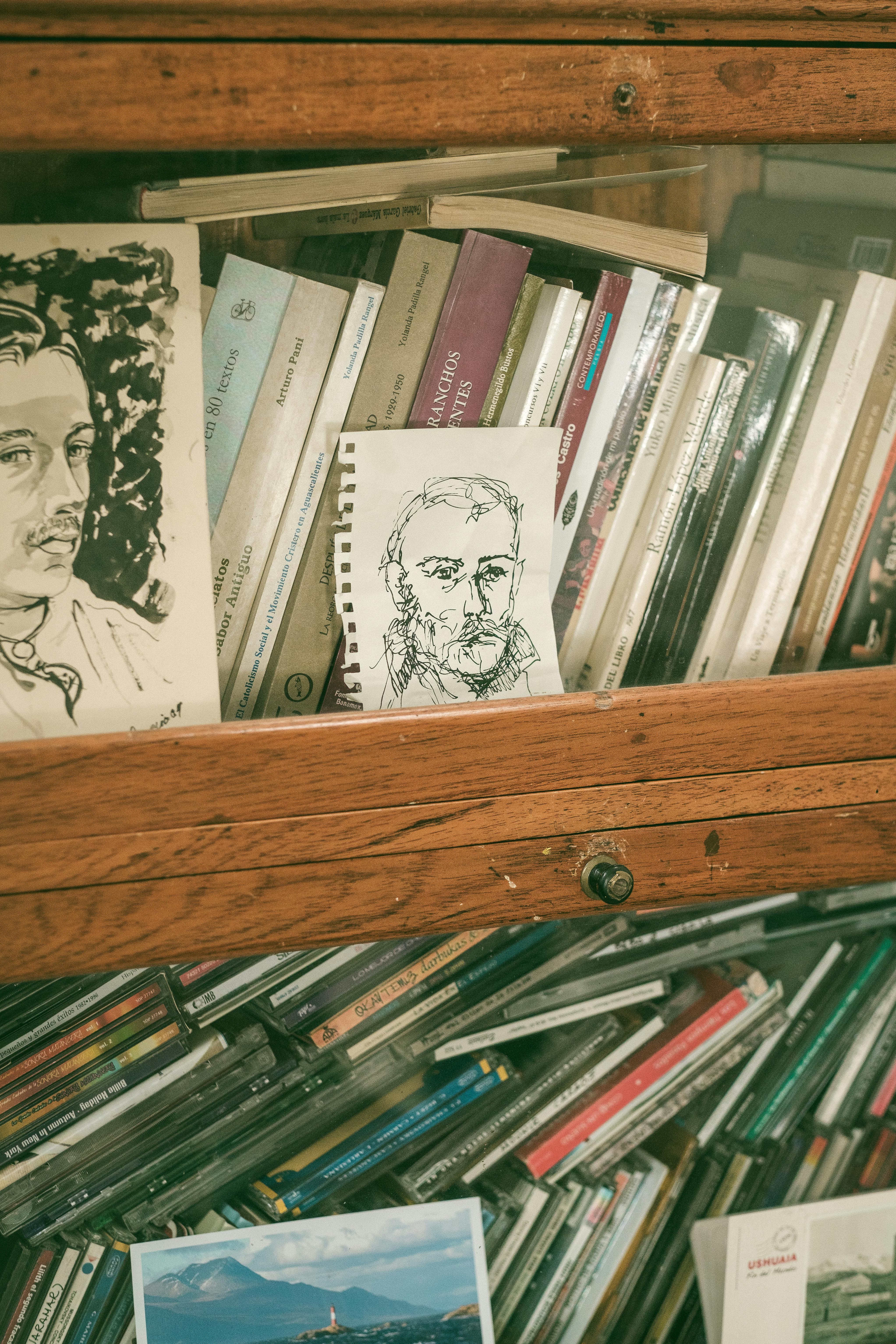 Vintage bookshelf showcasing books and artistic sketches, creating a cozy intellectual ambiance.