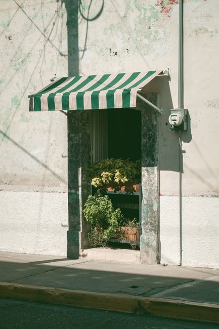 Quaint doorway with striped awning and plants on a sunny day, creating a rustic charm.