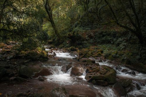 Free A serene river flows over stones in the lush forest of San Lorenzo, Argentina. Stock Photo