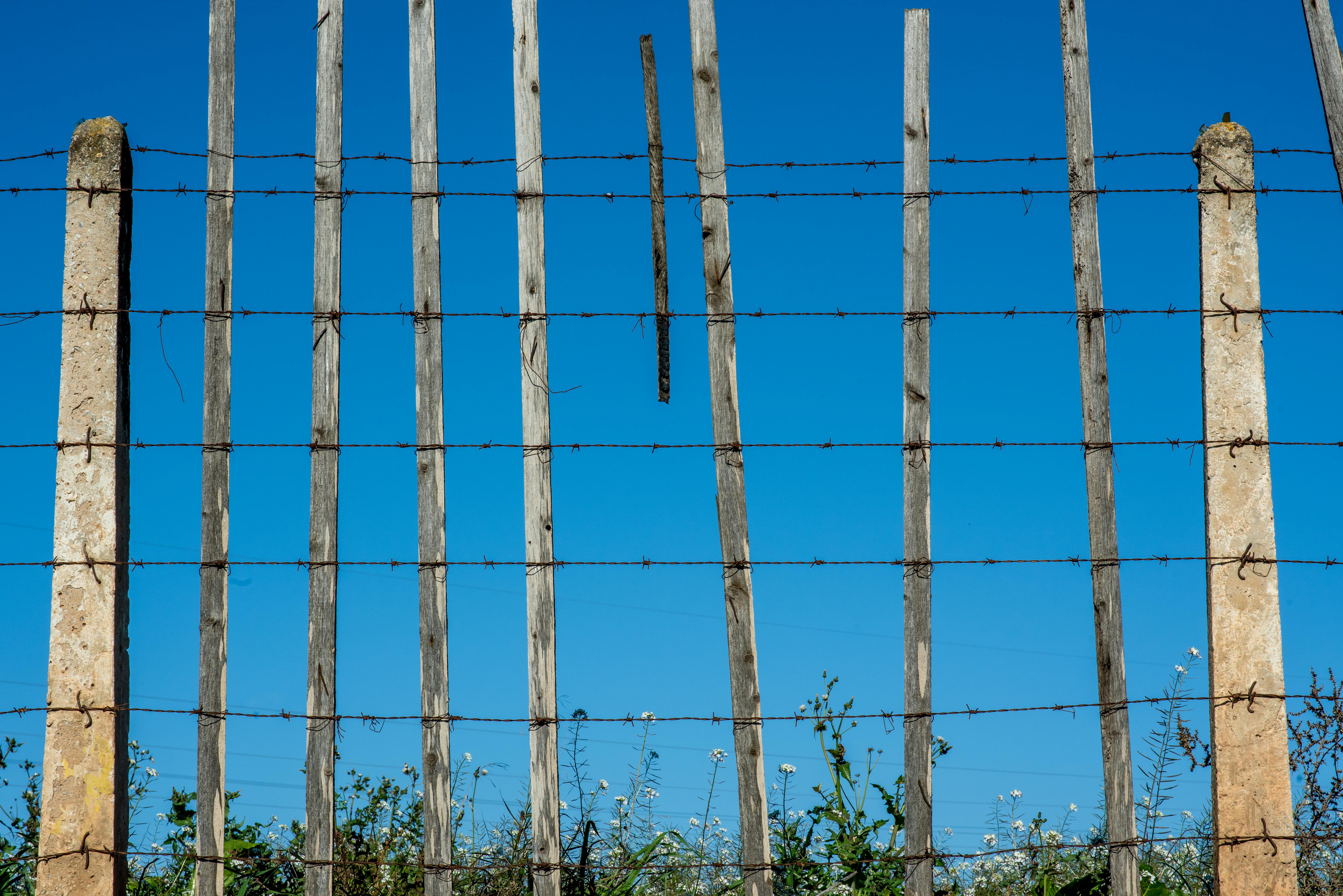 barbed wire fence - barbed wire fence cost