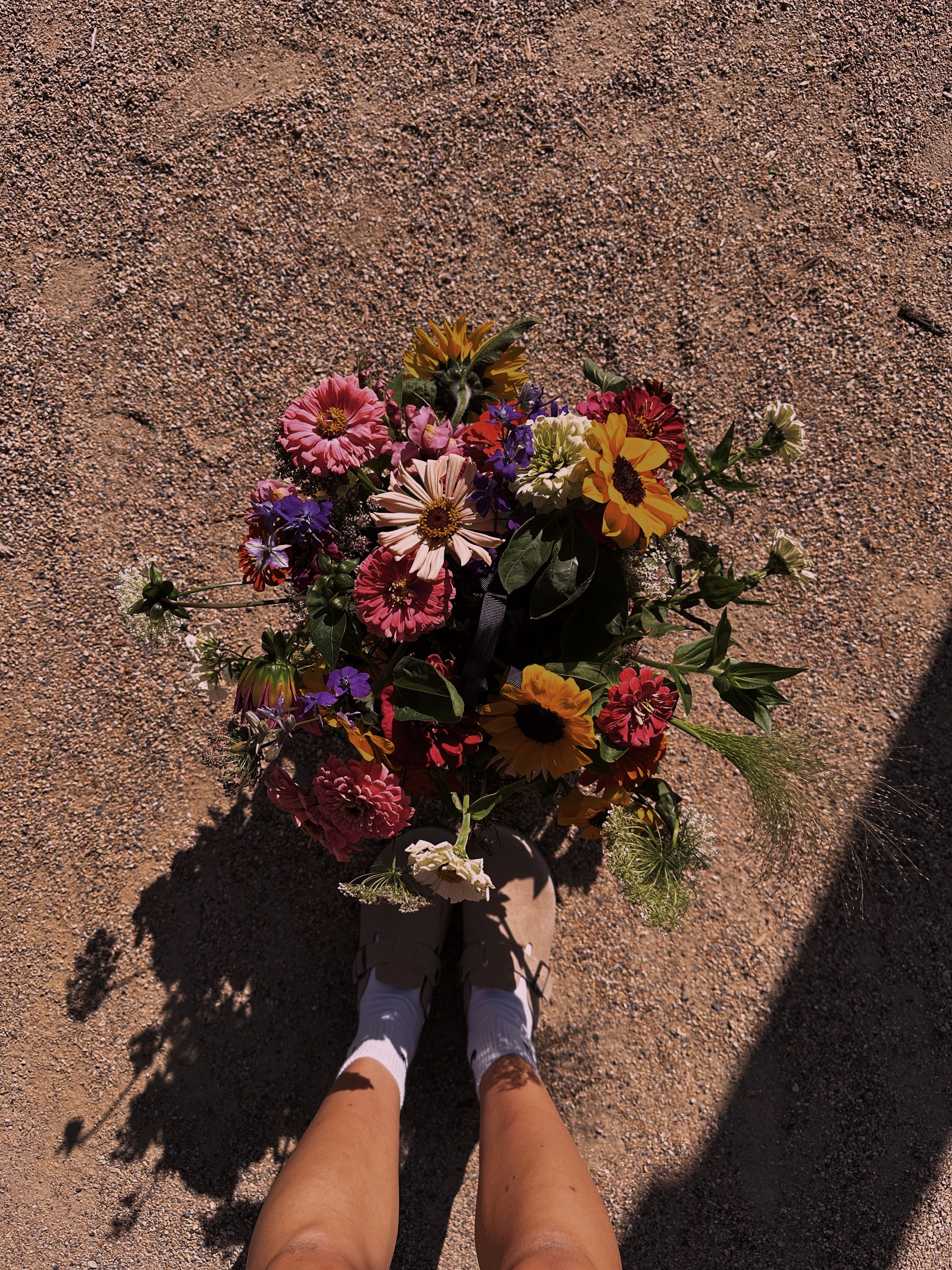 Vibrant bouquet of flowers placed on a rocky ground with shadows from direct sunlight.