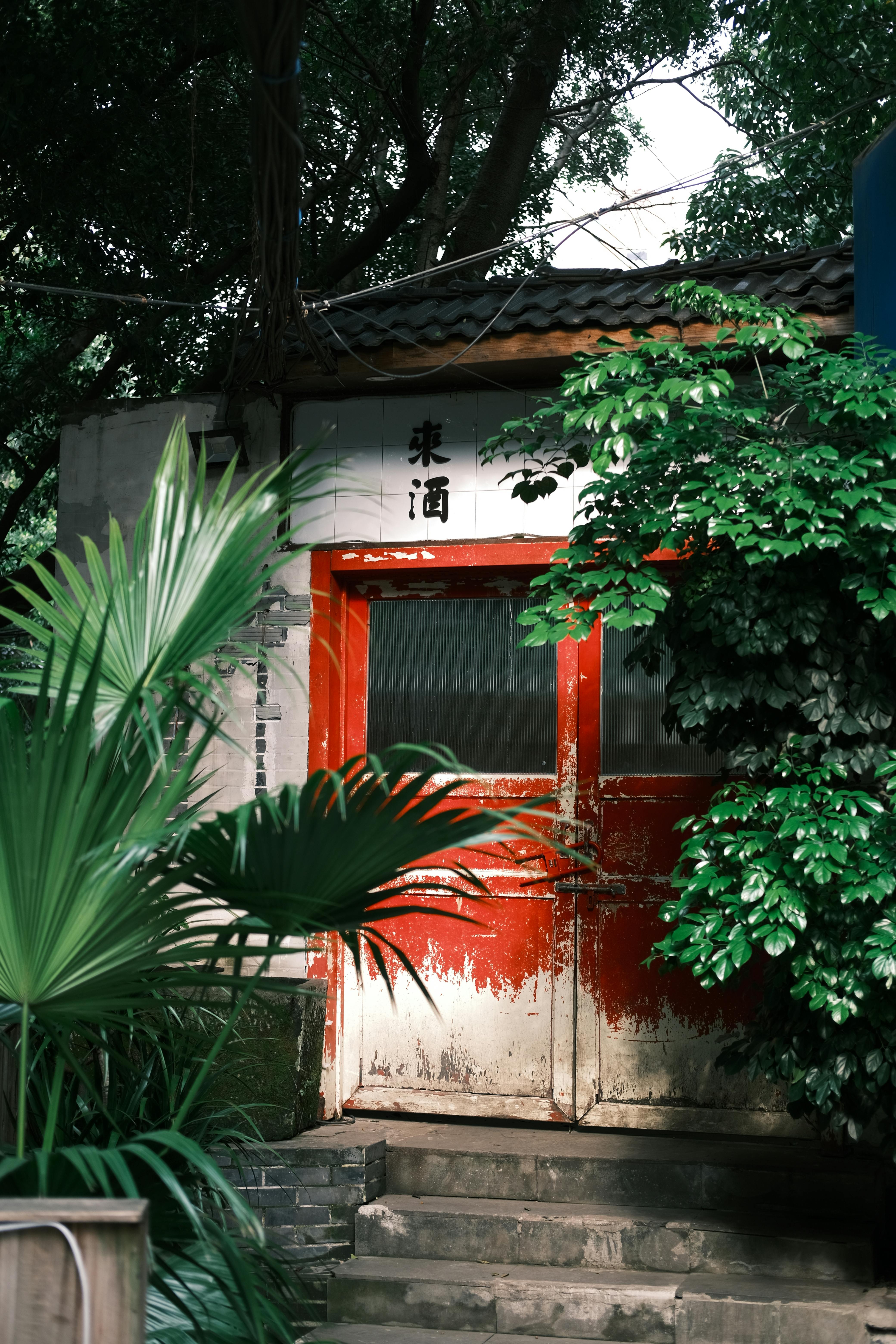 An old red door framed by vibrant green plants creates a serene and secluded garden feel.