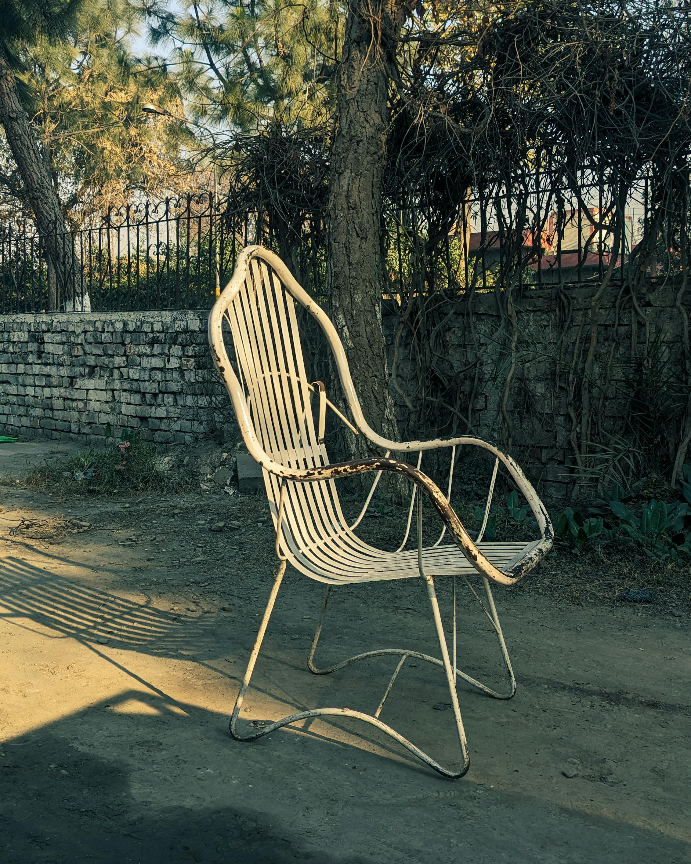 Gratuit Un singur scaun de metal de epocă stă într-o grădină luminată de soare, aruncând umbre printre copaci și frunziș. Fotografie de stoc