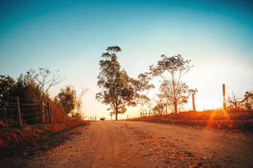 Free Tranquil dirt road scene with trees at sunset in Curvelo, Brazil. Stock Photo