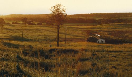 Free Breathtaking rural landscape at sunset in Curvelo, Brazil, showcasing tranquility and natural beauty. Stock Photo