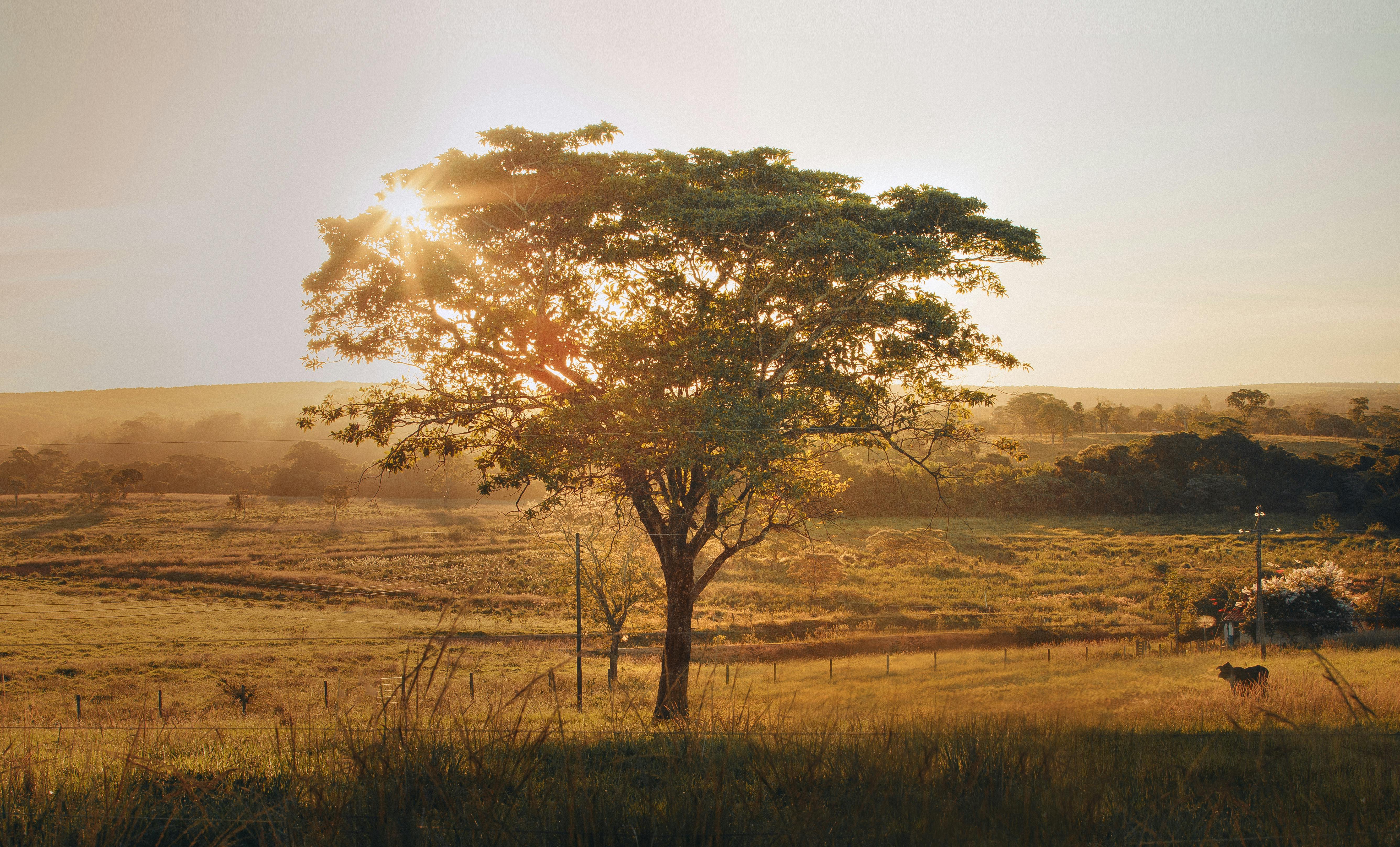 minas gerais