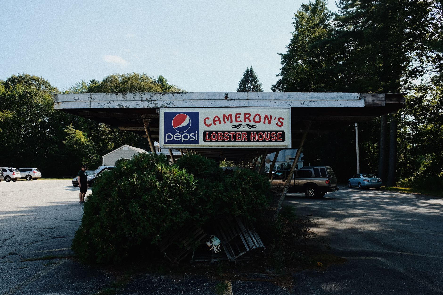 Rustic lobster house under a metal roof in a tree-lined parking lot, daylight scene.