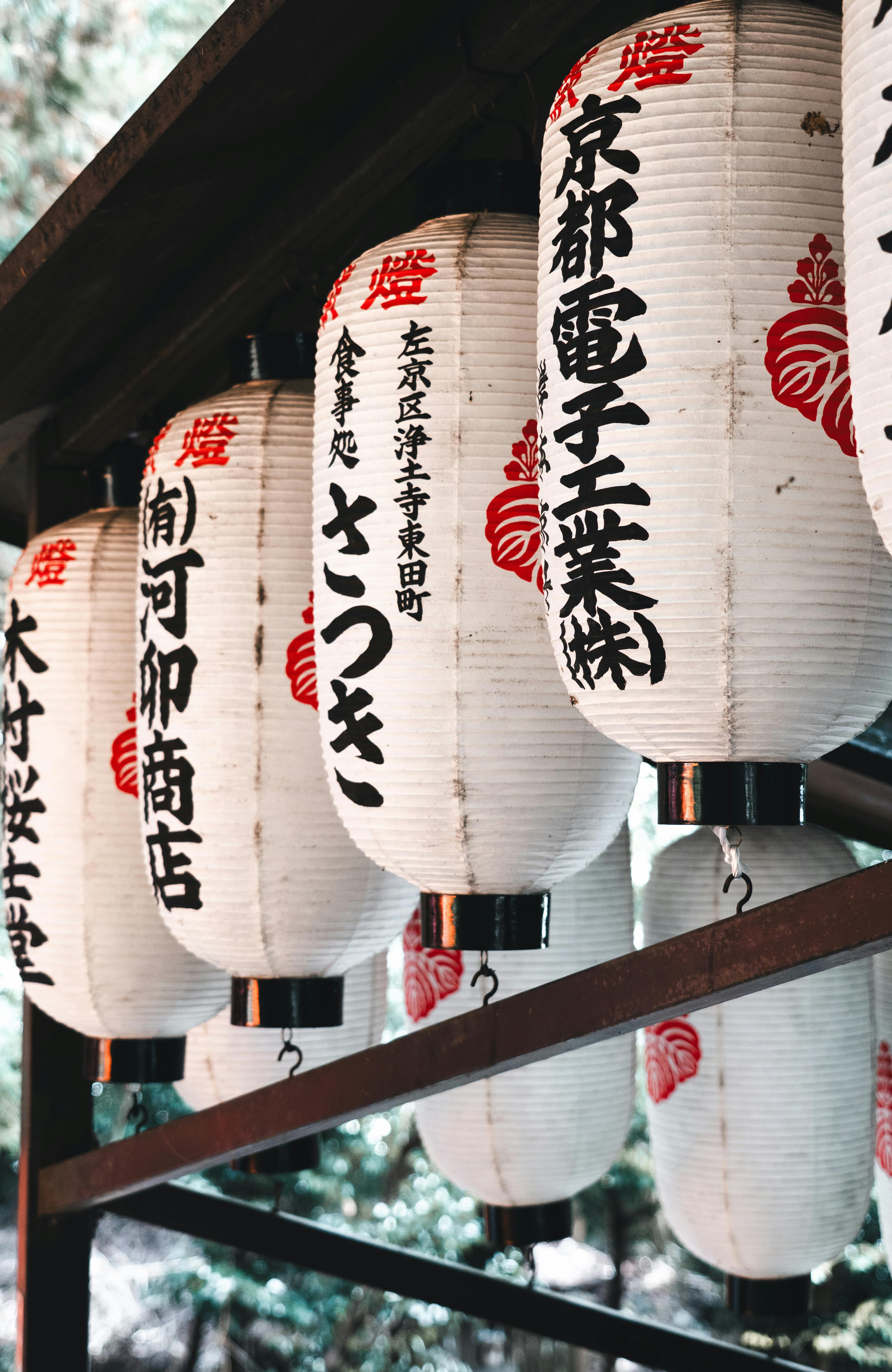 Close-up of Japanese paper lanterns with calligraphy, set outdoors, creating a cultural ambiance.