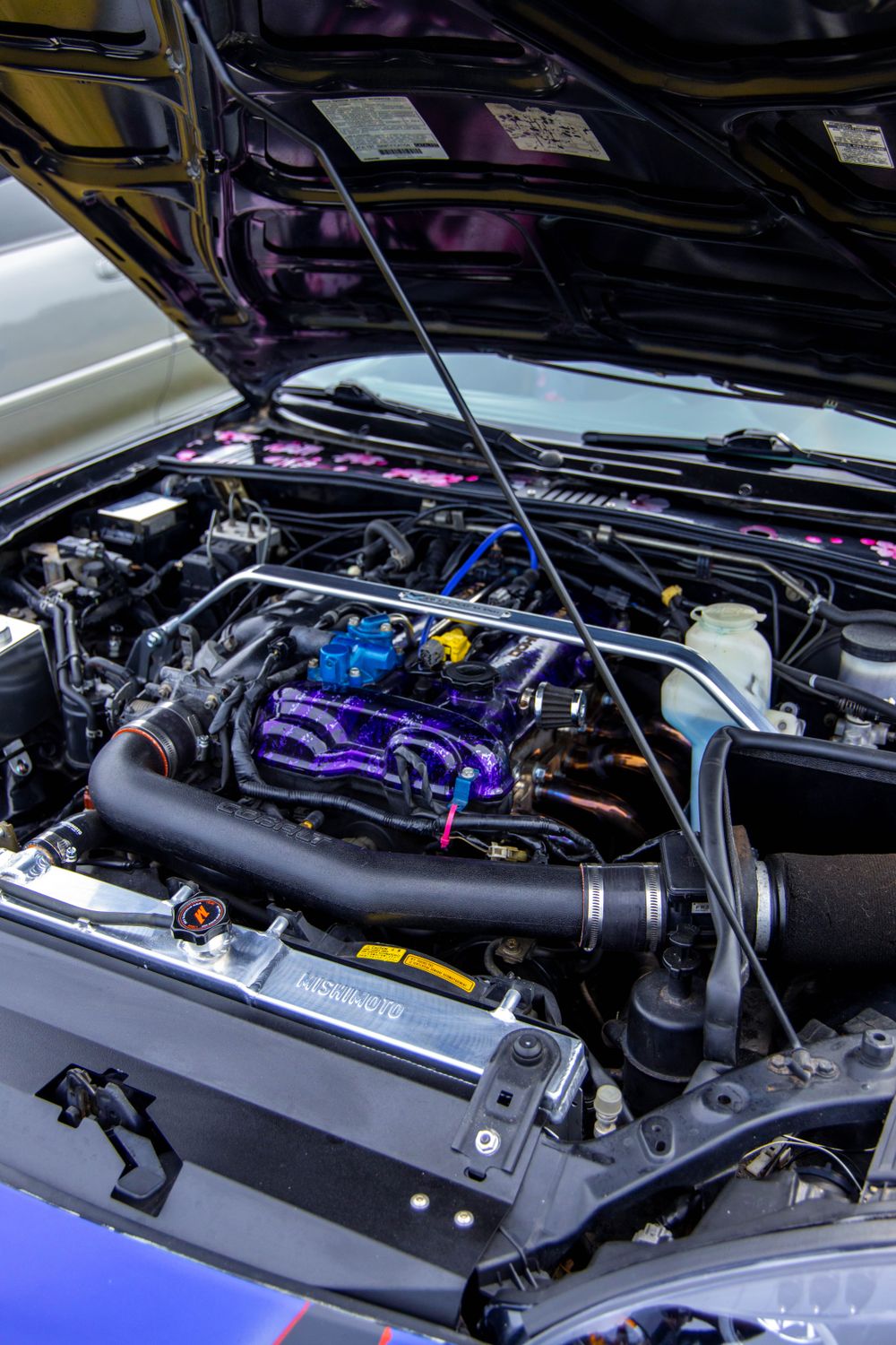 Performance Front Engine Car Close-up of High-Performance Car Engine · Free Stock Photo