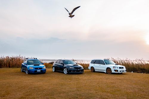 Free Three Subaru cars parked on grassy field with a bird flying overhead at sunset. Stock Photo