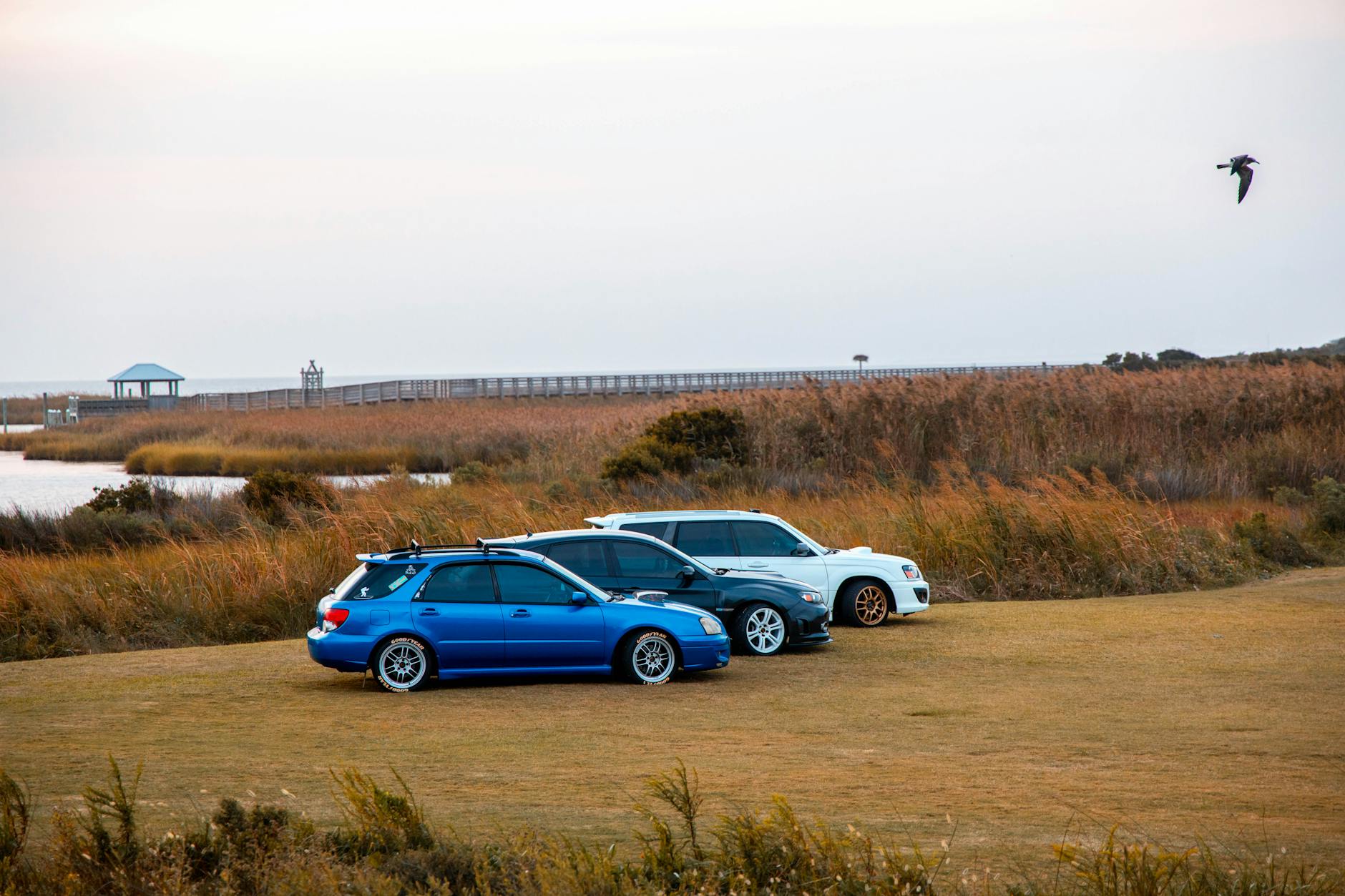 Tranquil walk from parking lot to Gaomei Wetlands wooden boardwalk
