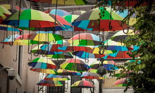 Free stock photo of colorful, lot, umbrella